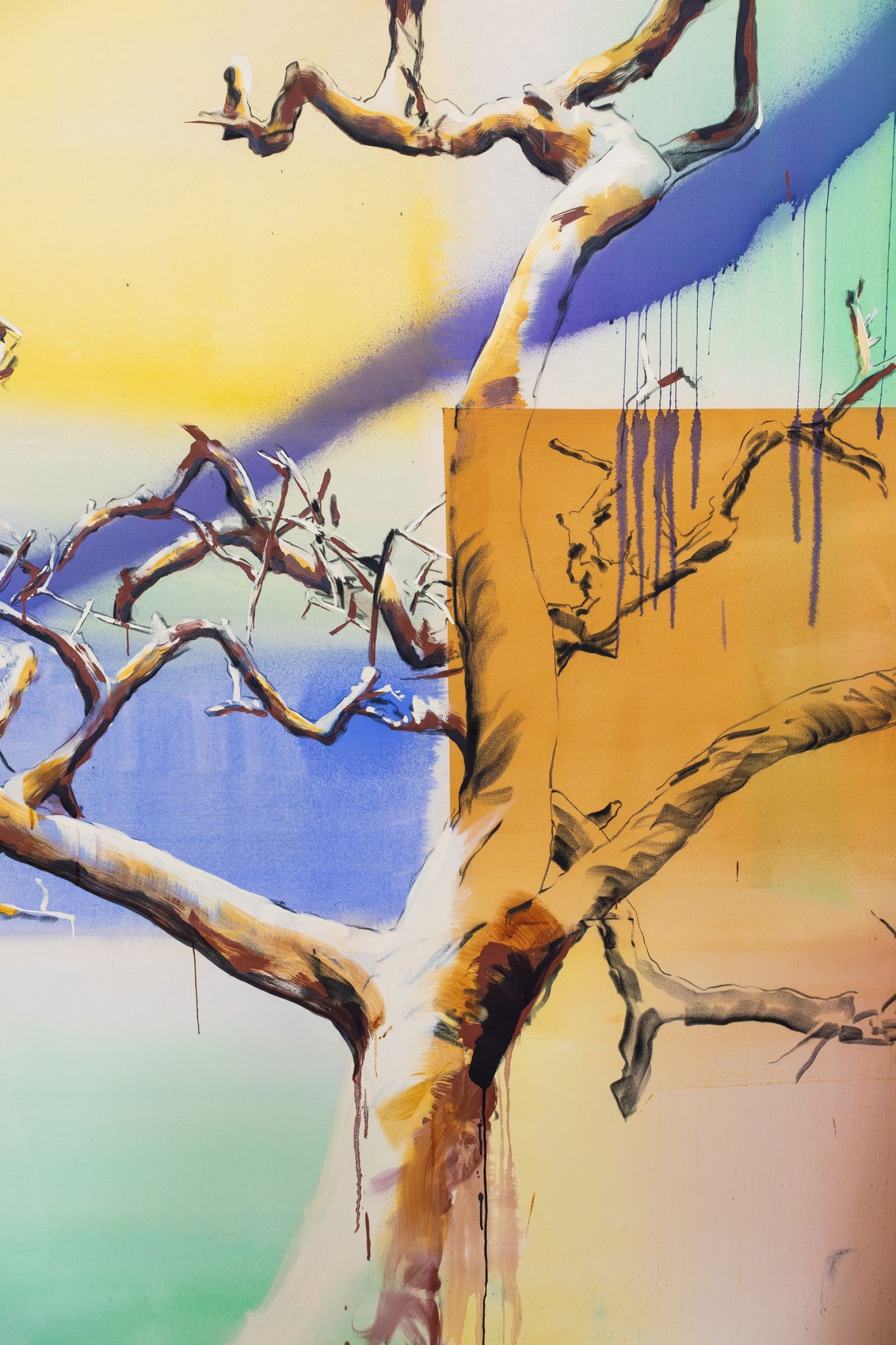 MARTIN KRAJC | Splendid Moods