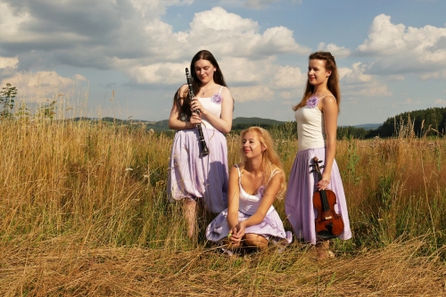 u_akce_6143_Mucha-trio.jpg